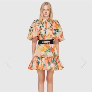 NWT Leo Lin Florescence Cambridge Mini Dress